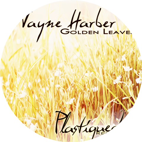 Wayne Harber