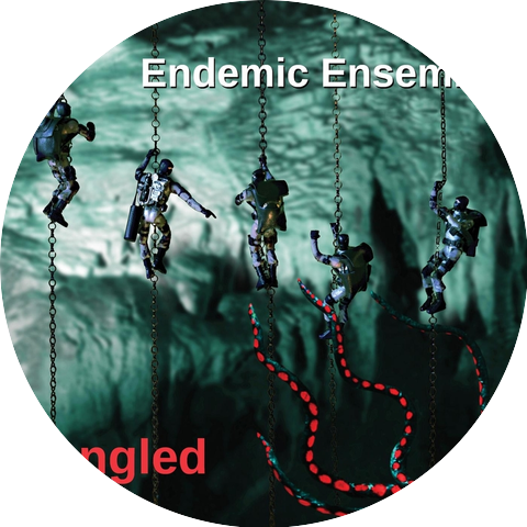 Endemic Ensemble