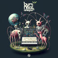 Burn in Noise