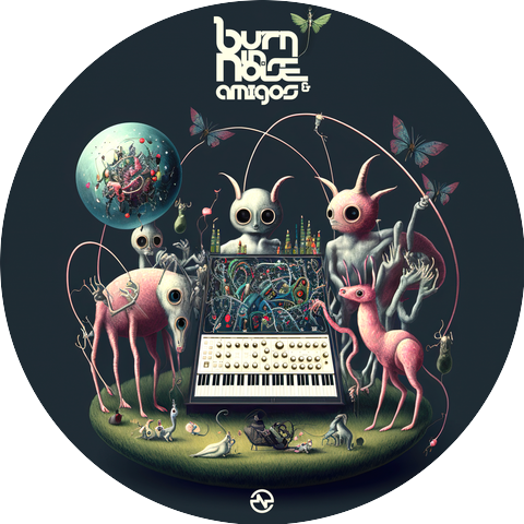Burn in Noise