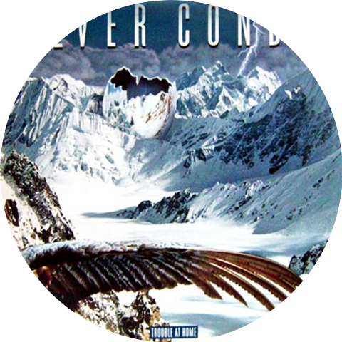 Silver Condor