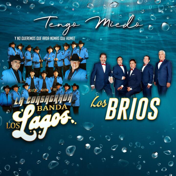 Banda los Lagos