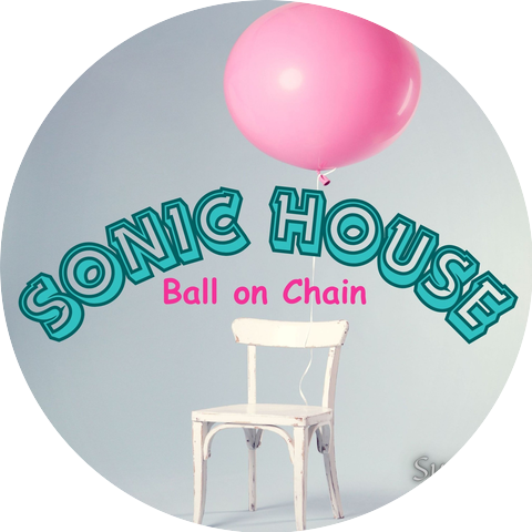 Sonic House