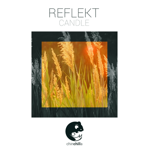 Reflekt