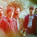The Fontaines