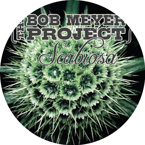 The Bob Meyer Project