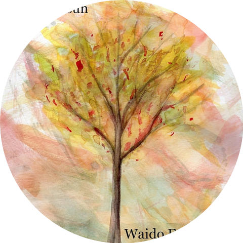 Waido Experience