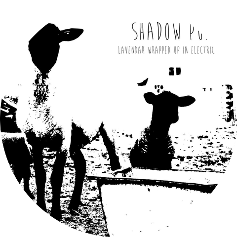 Shadow Puppet