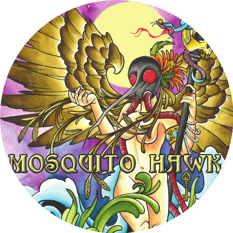 Mosquito Hawk