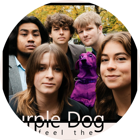 Purple Dog