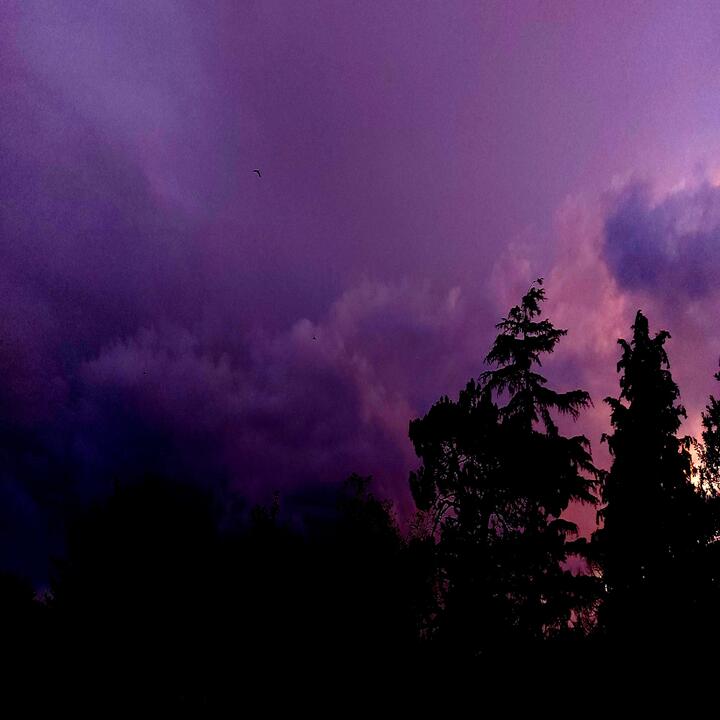 Lost Souls