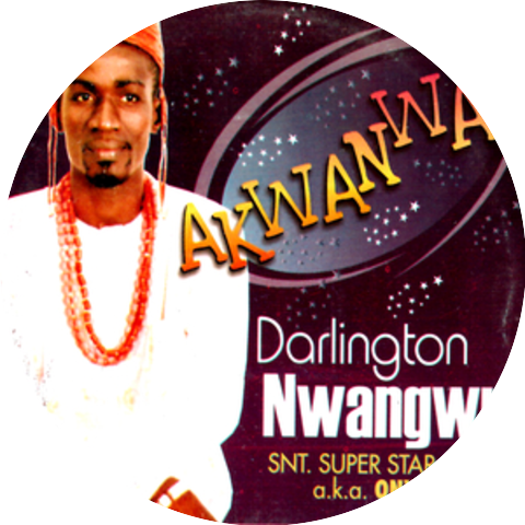 Darlington Nwangwu & His S.N. T Super Stars