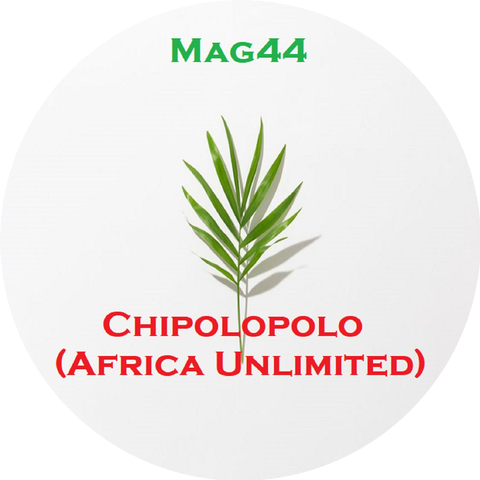 Mag44
