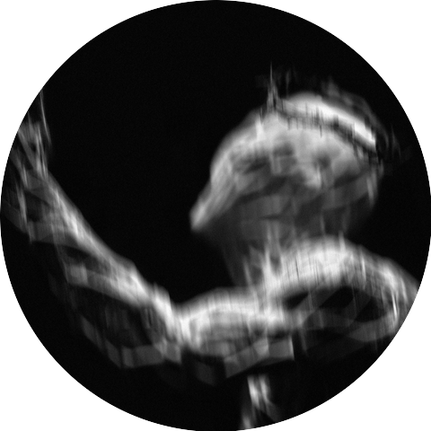 The Inverted