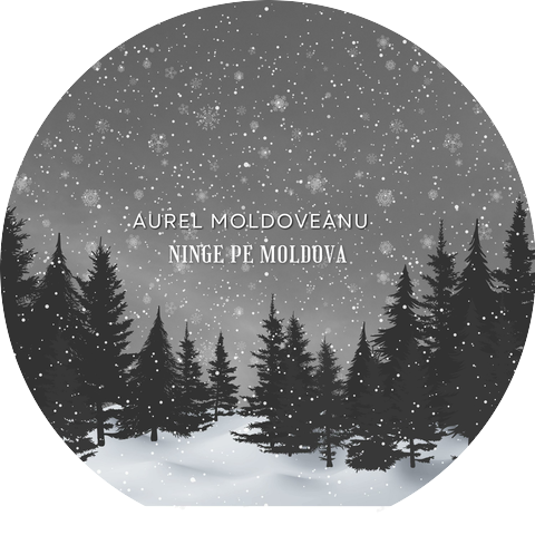 Aurel Moldoveanu