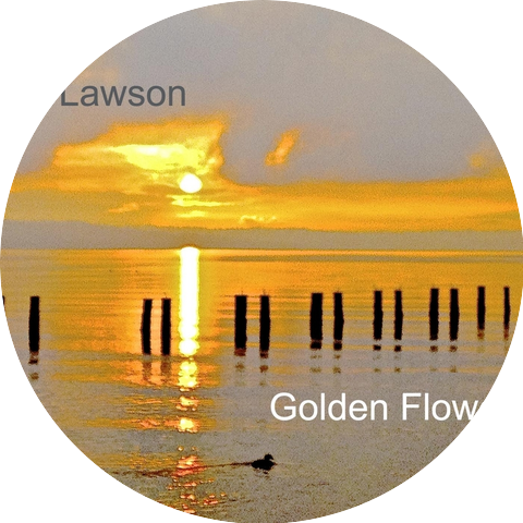 Larry Lawson