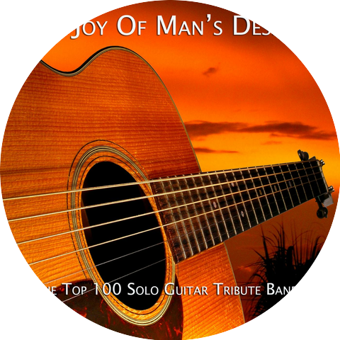 The Top 100 Solo Guitar Tribute Band