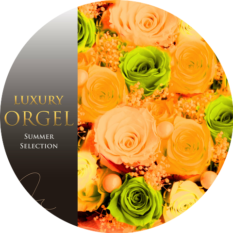 Luxury Orgel