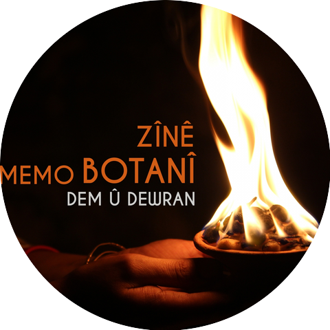 Zine Botani, Mem Botani