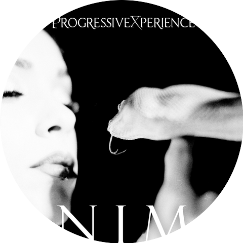Progressivexperience