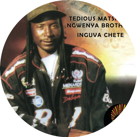 Tedious Matsito, Ngwenya Brothers