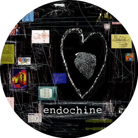 Endochine