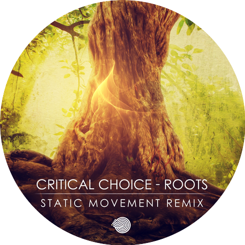 Critical Choice