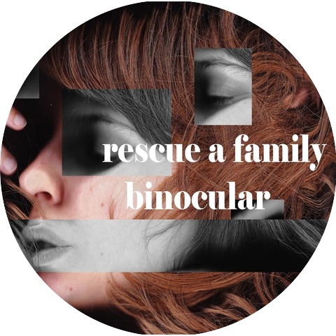 Rescue a Family
