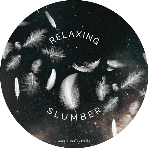 Deep Sleep Systems