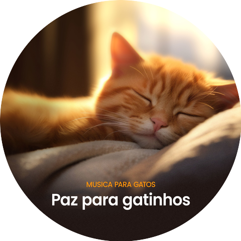 Música Para Gatos