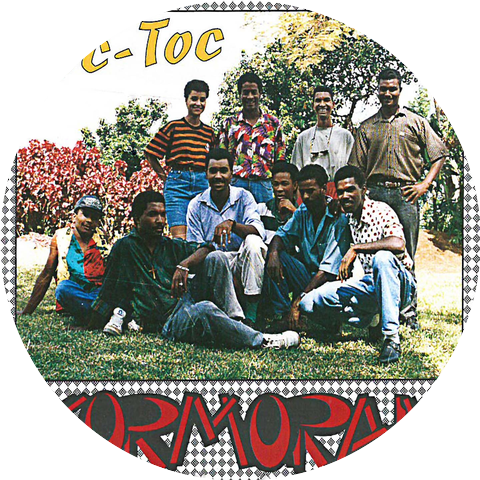 Kormorán