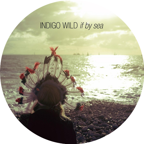 Indigo Wild