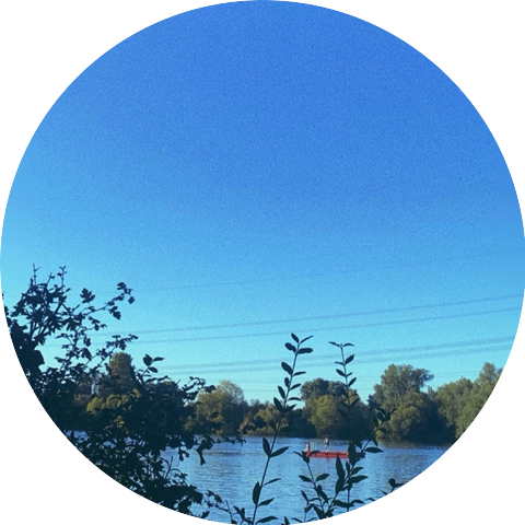 Salina