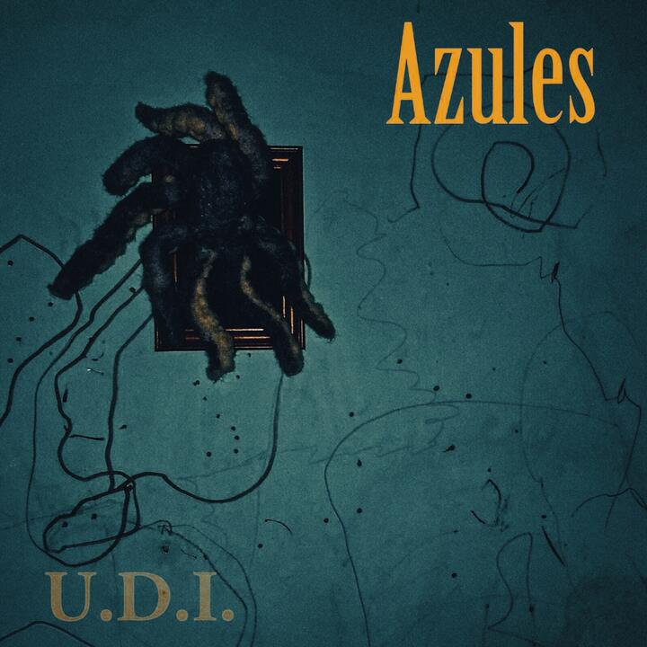U.D.I.