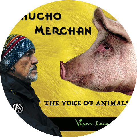 Chucho Merchán