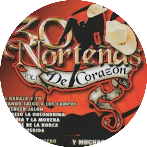 Armadillo Norteno