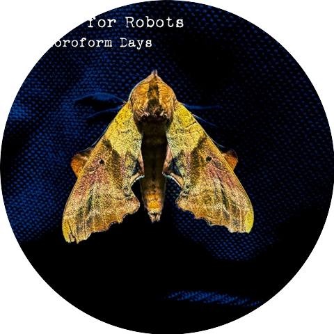 Bedtime for Robots