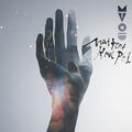 MTVoid