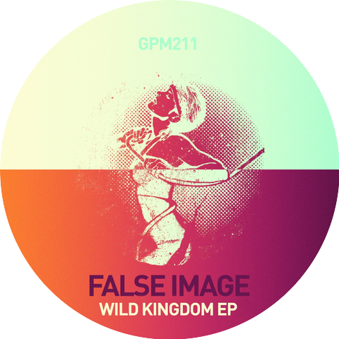 False Image