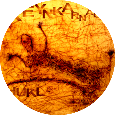 Hukl