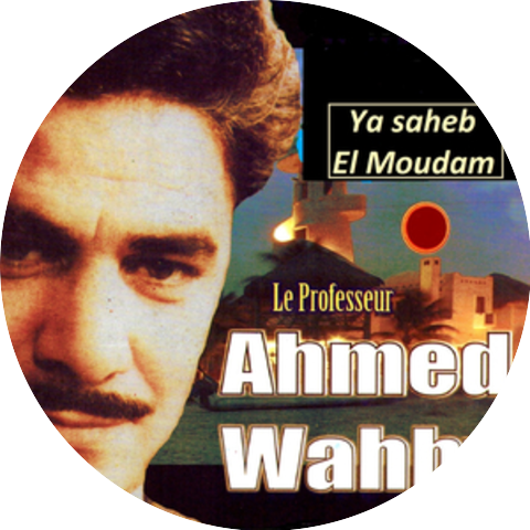 Ahmed Wahby