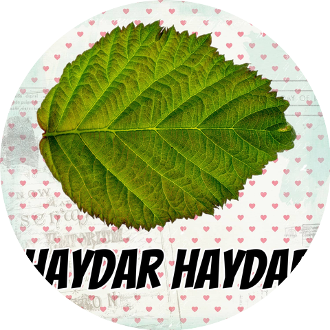 Hülya Bozkaya
