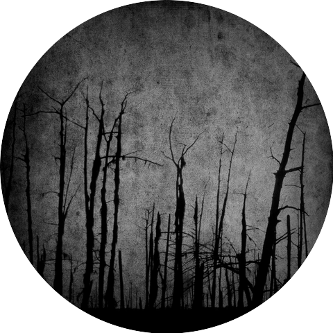Cryptic Forest