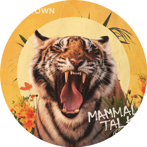 Mammal Talk