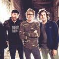 Evergreen Terrace