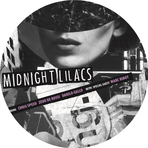 Midnight Lilacs