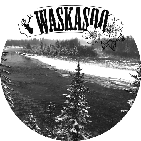 Waskasoo