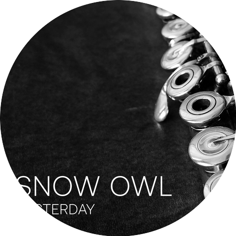 Snow Owl