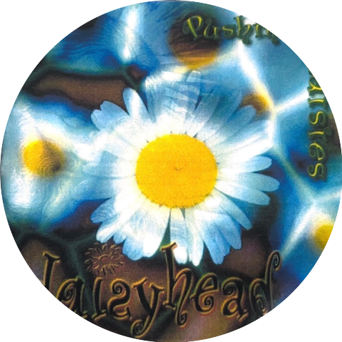 Daisyhead