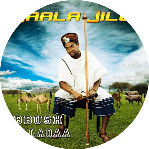 Abbush Zallaqaa